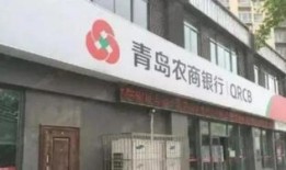青岛农商行最新爆料,揭秘业务创新与风险管控新动向